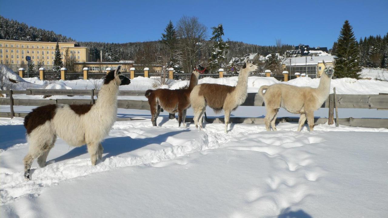 Hotel Alte Schleiferei Breitenbrunn  Esterno foto